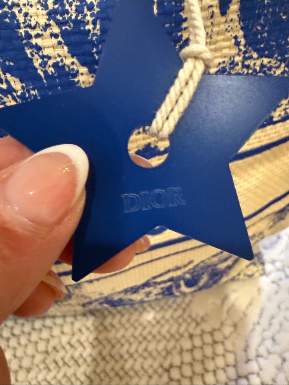 Dior Blue and Natural Toile Canvas Tote - Picture 7 of 9
